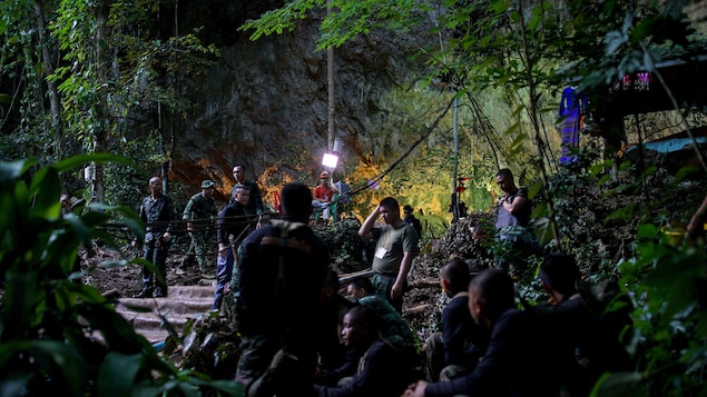 Des hommes se tiennent dans une forêt.