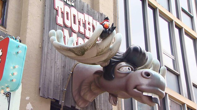 Un faux panache d'orignal au-dessus de la porte du bar The Toothy Moose. Un faux panache d'orignal au-dessus de la porte du bar The Toothy Moose.