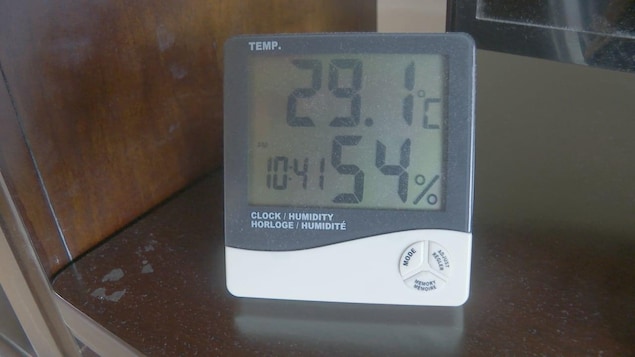 A thermometre showing 29.1 degrees Celsius in a house.
