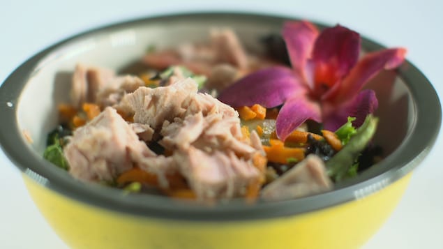 Du thon dans une salade de légumes. Du thon dans une salade de légumes.