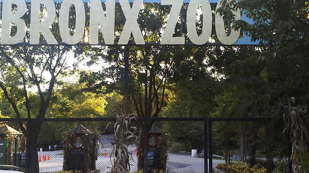 L'entrée du zoo est fermée par des grillages.