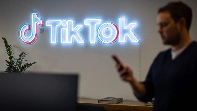 As TikTok faces data-harvesting claims, spy agency warns Canadians to protect themselves - Vimarsana News