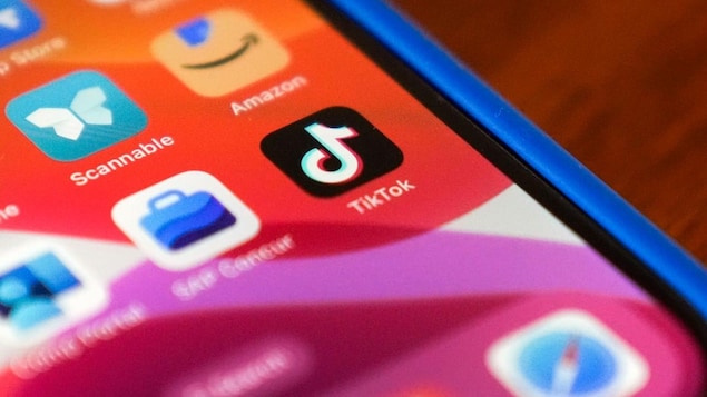 The screen of a smartphone showing various app logos, including TikTok's.