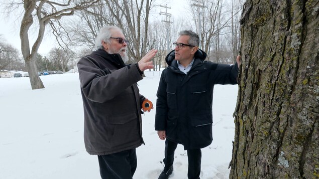 Deux hommes discutent devant un arbre sur le long d'un boulevard urbain. 
