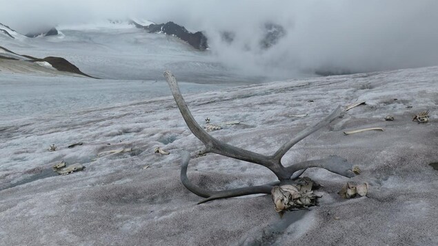 Comprendre les impacts de la fonte des glaciers des T.N.-O. et du Nunavut