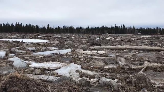 Des morceaux de glace, de bois et des racines d'arbres flottant sur une rivière.