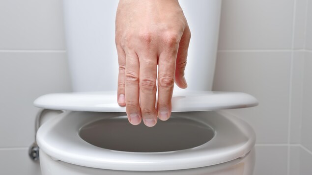 Une main ferme le couvercle d'une toilette publique.