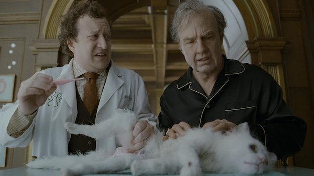 Un homme et un vétérinaire regardent un chat mal en point étendu sur une table. 
