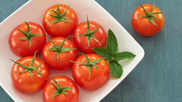 Des tomates dans une assiette.