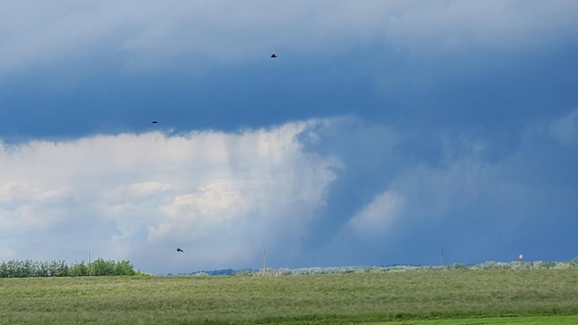Six à neuf maisons détruites par une tornade en Alberta, selon la GRC