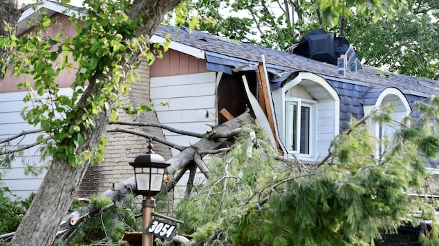 Une grosse branche d'arbre projetée par la tornade, enfoncée dans le coin d'une maison