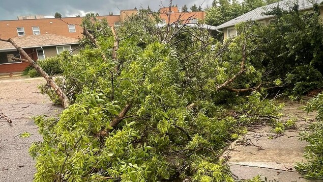 Les pannes d’électricité se poursuivent à Medicine Hat après une violente tempête
