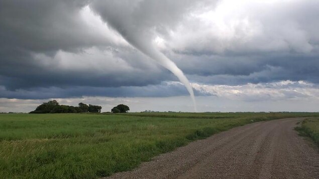 Une tornade qui s’élève dans le ciel.