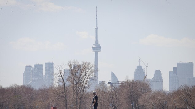 Des gens sur la plage devant un boisé avec les gratte-ciel de Toronto en arrière.