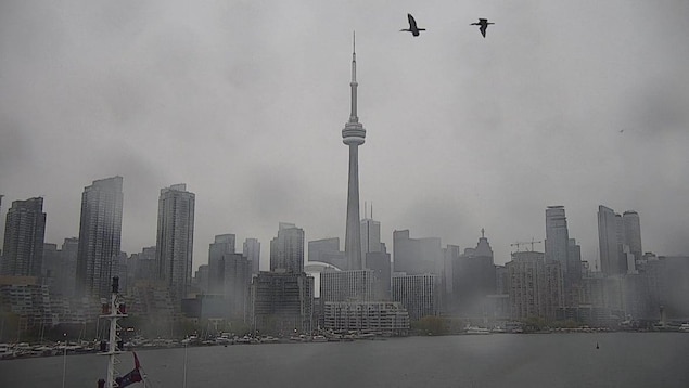 Avertissement de pluie en vigueur pour Toronto