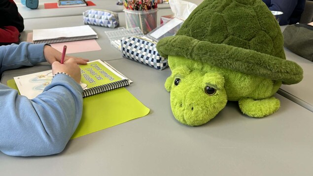 Un enfant dont in ne voit pas le visage fait un dessin, sur la table où est dépose une tortue en peluche.  