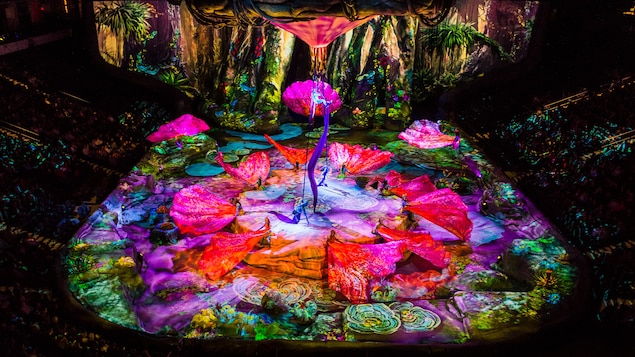 Tableau d'une scène de Toruk du Cirque du Soleil Tableau d'une scène de Toruk du Cirque du Soleil