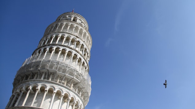 A bird flies past the Leaning Tower of Pisa October 31, 2009. REUTERS/Sharon Lee (ITALY - Tags: SOCIETY ANIMALS) - GM1E5CT0XCG01