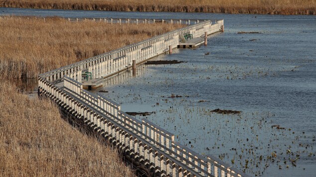 Offensive de charme de la Pointe-Pelée pour attirer les touristes du Grand Toronto