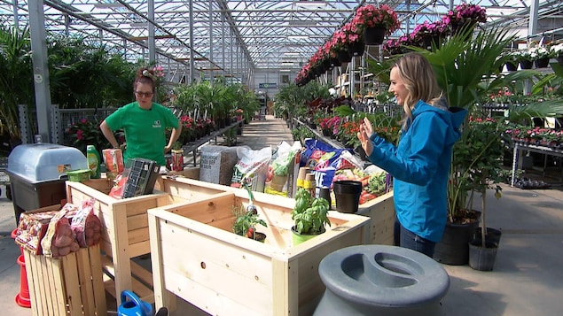 Le jardinage comme remède au confinement, jardinage 