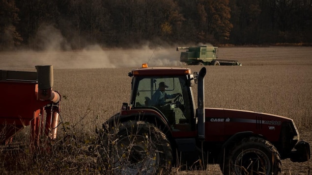 L’Ontario rural doit apprendre l’acceptation culturelle pour éviter son propre déclin