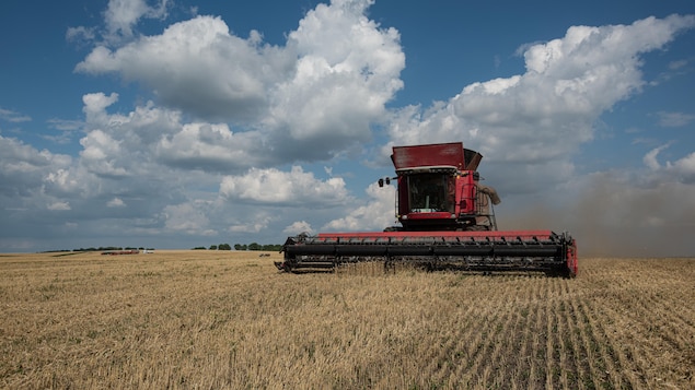 Exportation de céréales ukrainiennes : l’accord international « continue », dit l’ONU