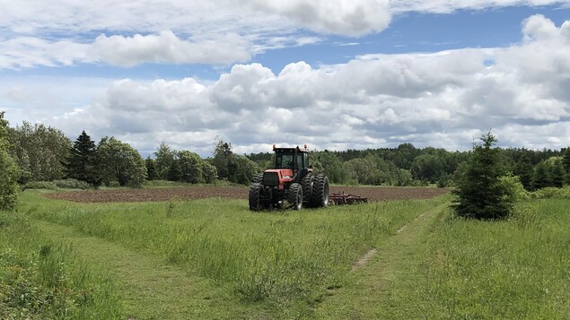 Un tracteur dans un champ.