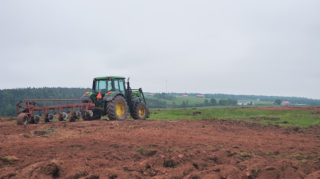Un tracteur dans un champ.