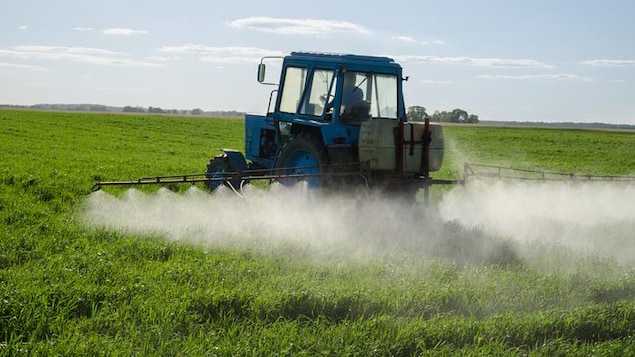 Un tracteur épand des pesticides.