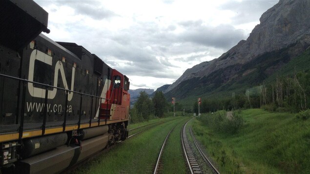 Une locomotive d'un train du CN avance sur des rails dans les Rocheuses.