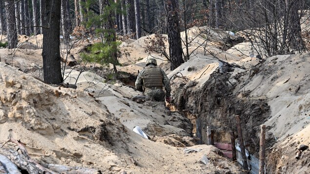Un soldat, vu de dos dans une tranchée creusée au milieu d'une forêt. 