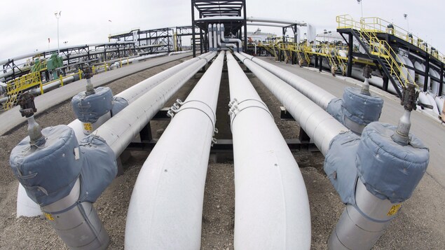 Six canalisations installées côte à côte sur le site de Trans Mountain près d'Edmonton