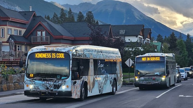 Des autobus à Banff. 