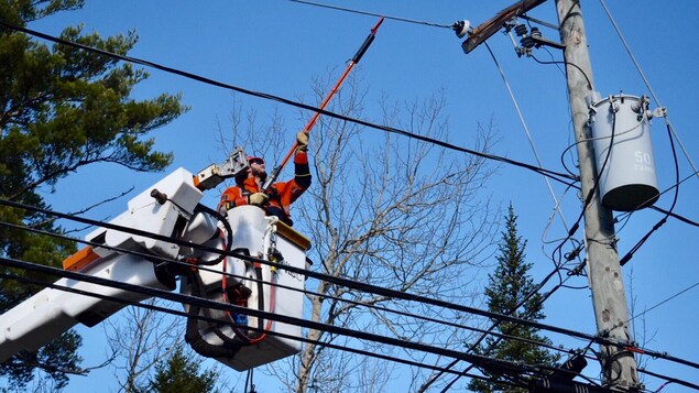 Un travailleur d'Énergie NB s'efforce de dégager une ligne électrique près de Fredericton.