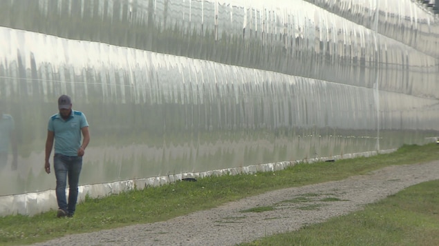 Un homme marche à côté d'un grand mur transparent qui semble être en plastique.