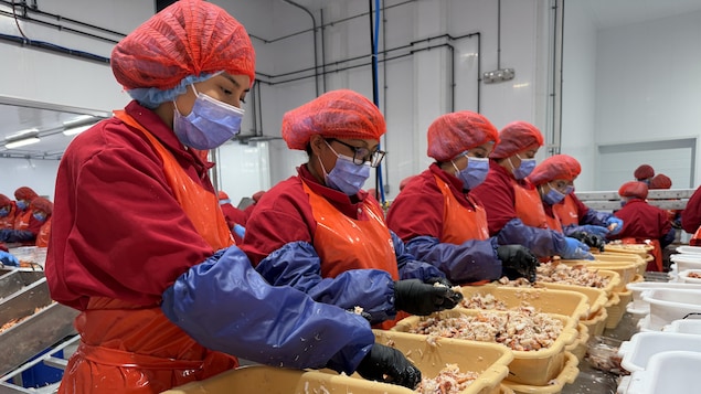 Le taux de chômage a légèrement reculé à 6,5 % en juin