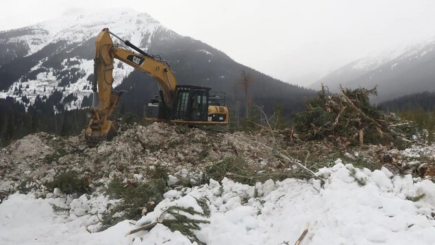 Une excavatrice sur un monticule de terre avec de la neige et la montagne en arrière-plan.