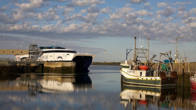 Bay Ferries publie ses derniers chiffres sur le nombre de passagers sur The Cat