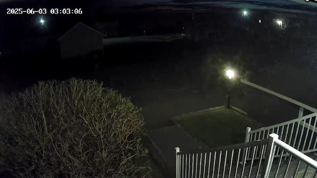 Un arbre et une rampe d'escalier dans la nuit.