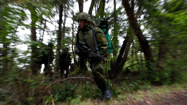 Members of the Canadian Army Royal 22nd Regiment from Valcartier, Que. take part in an exercise in Metchosin, B.C. on Friday May 17, 2013. An internal Department of Defence document says just over half of the Canadian Armed Forces is in a state to respond to a crisis call from NATO allies. 