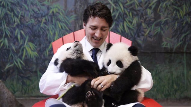 特鲁多。