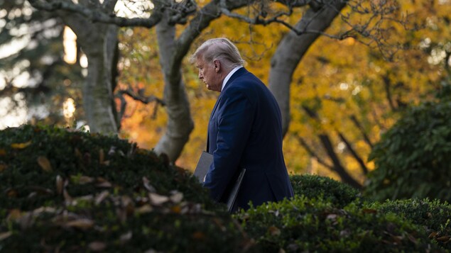 Plan éloigné de Donald Trump marchant dans la roseraie de la Maison-Blanche.