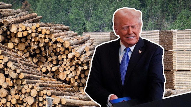 Montage de Donald Trump sur un fond de bois d'oeuvre.