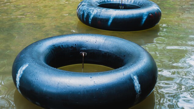 Deux tubes pneumatiques noirs flottent sur l'eau.