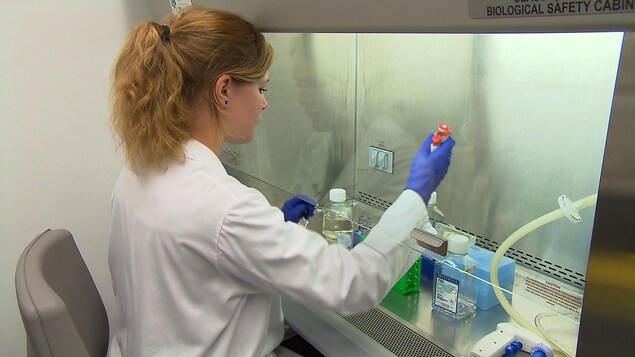 Une technicienne de laboratoire procède à une analyse. Une technicienne de laboratoire procède à une analyse.