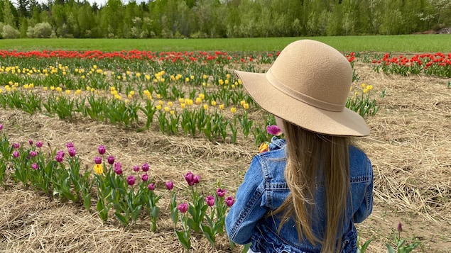 Une jeune fille est debout face à un champ de tulipes.