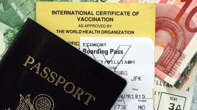 Un passeport, un carnet de vaccination, une carte d'embarquement et des euros.