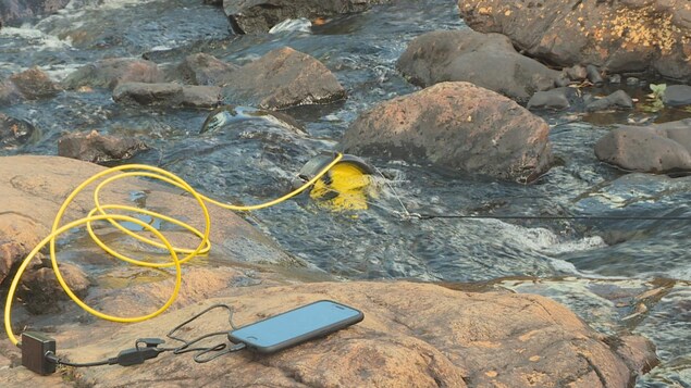 La turbine portative Waterlily permet entre autres de recharger un téléphone cellulaire lors d'activités de plein air. La turbine portative Waterlily permet entre autres de recharger un téléphone cellulaire lors d'activités de plein air.