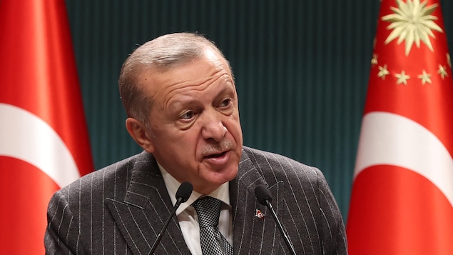 Séisme en Turquie : Erdogan demande « pardon » pour des retards dans les secours