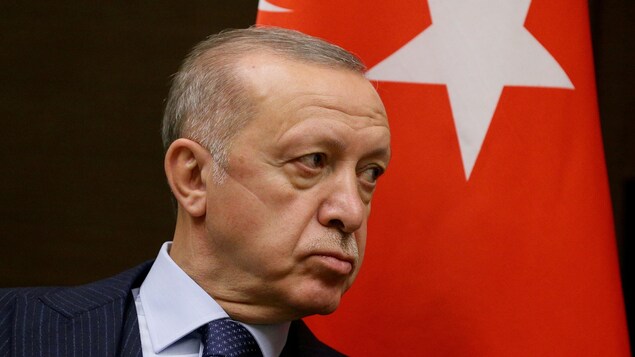 Le président Erdogan est accusé de vouloir détourner l’attention